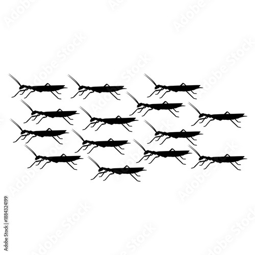 Multiple insects gathered together in a formation on a white background