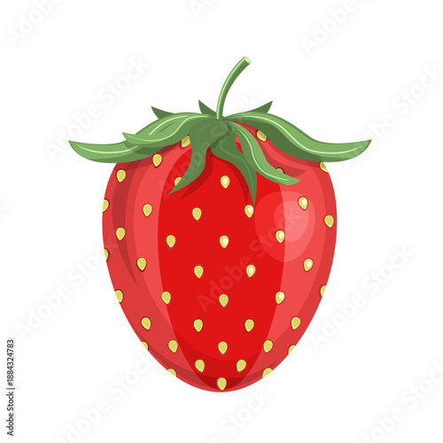 Ripe juicy strawberry isolated on a white background. Vector illustration of a strawberry for your design.