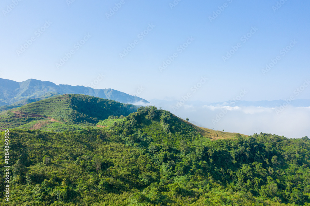 Obraz premium Vivid green hills rise above a layer of distant clouds in the Dien Bien mountains of Vietnam. Bright sunlight and a clear blue sky highlight the lush vegetation and rolling contours of the landscape.