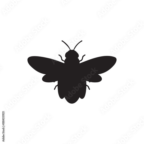Firefly silhouette icon vector flat design.