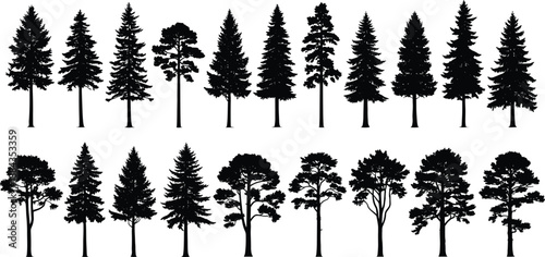 Conifer tree silhouette illustration set with pine, fir and spruce forest forms, black botanical vector collection for landscape design, nature graphics