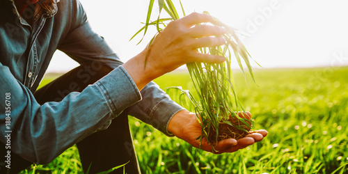 Foto A close-up of an experienced farmer in a field holding a young plant