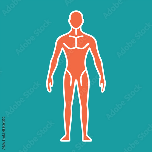 human body anatomy in blue