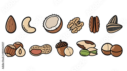 A collection of various nuts and seeds, including almonds, cashews, coconuts, walnuts, pecans, sunflower seeds, hazelnuts, peanuts, acorns, macadamia nuts, and Brazil nuts.