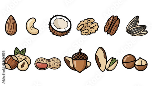 A collection of various nuts and seeds, including almonds, cashews, coconuts, walnuts, pecans, sunflower seeds, hazelnuts, peanuts, acorns, pistachios, and macadamia nuts.