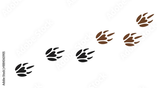 Illustration of animal paw prints in black and brown, showing a trail of tracks moving diagonally upwards.