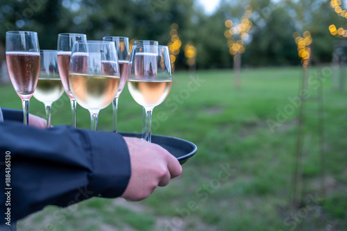 hands holding glasses of champagne