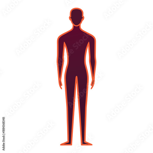 3d rendered illustration of a human body