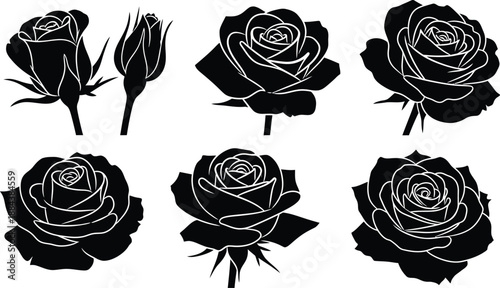 Elegant black rose floral collection with varying blooms on transparent background silhouette