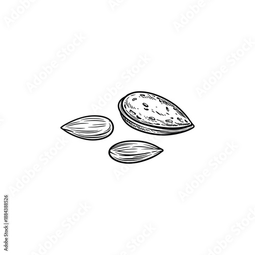 Minimalist Almond Nut logo icon flat vector design