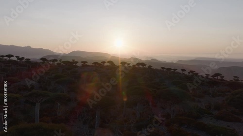 Aerial Sunset Over Dragon's Blood Trees on Socotra Island, Yemen