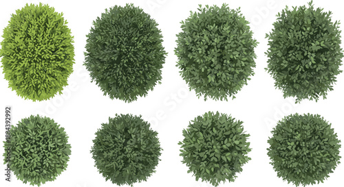 Top view green bush plants collection isolated on white background, garden landscape design elements, overhead tree shrub set for architectural site planning.