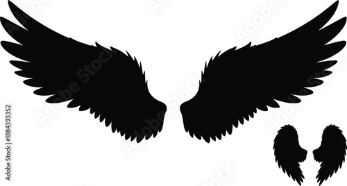 Elegant black wings graphic element with feather details on transparent background silhouette