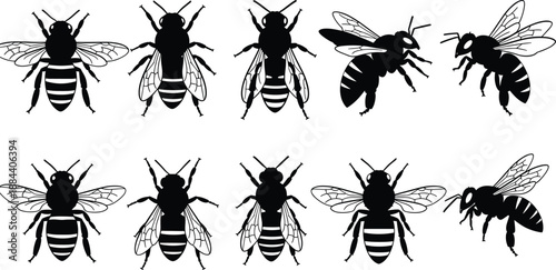 Honey bee silhouette collection showing flying and resting bees from multiple angles isolated on white background for pollination, agriculture, wildlife, nature and insect design projects