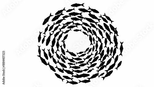 School of fish swimming in a circular pattern.