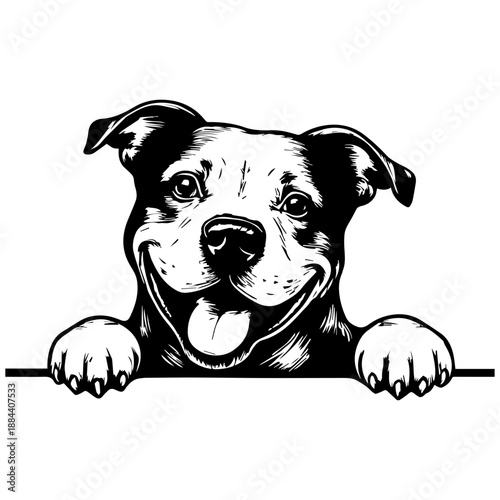 Peeking Pitbull Dog - Pitbull Face Peeking Design - American Staffordshire Terrier Clipart - Peeking American Pitbull - Dog Lover Design - Playful Pitbull Face