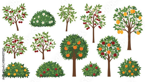 Collection of various fruit trees and bushes including cherry apple orange and flowering shrubs in flat vector illustration style.
