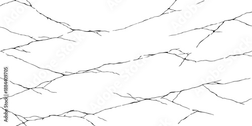 White wall with broken glass hole revealing black tree branches and nature silhouette background