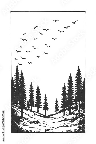 Vertical hand drawn line art vector illustration of a peaceful forest trail with tall pine trees and a flock of birds flying in the scenic sky.