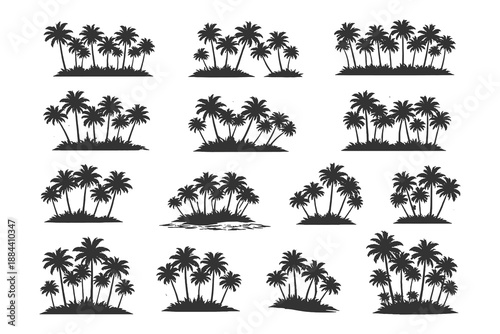 Professional black silhouette vector set of tropical palm trees and coconut groves on a white background for beach vacation and summer island themes.