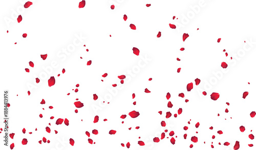 Falling red rose petals rain background for valentine day cards