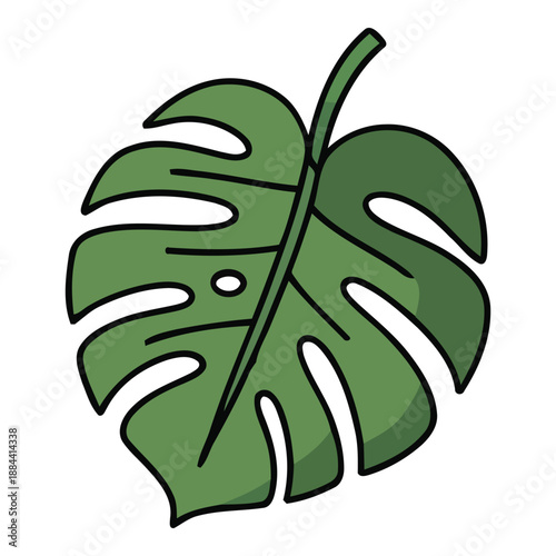 A striking illustration of a lush green Monstera leaf, showcasing its iconic split fenestrations and vibrant natural beauty