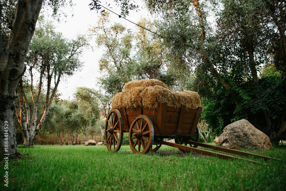 Obraz premium Side Angle View of a Traditional Wooden Horse-Drawn Cart Loaded with Golden Hay Bales in a Picturesque Mediterranean Olive Grove with Lush Green Grass