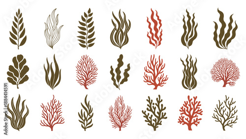 Diverse collection of colorful seaweed, aquatic plants, and various types of coral reef elements in a flat style.