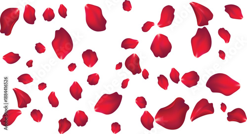Beautiful scattered red rose petals illustration for spa wellness