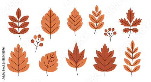 Collection of stylized autumn leaves and berries in warm orange and brown tones, featuring various shapes and types for seasonal designs.