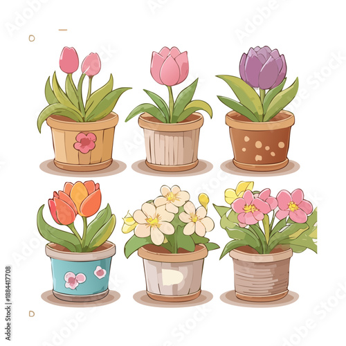 Rows of colorful blooming flowers in traditional clay pots for rustic and charming farmhouse garden decoration