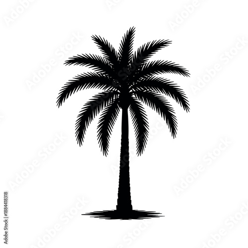Palmetto Tree Silhouette Vector Illustration Featuring South Carolina State Symbol for Coastal and Nature Designs