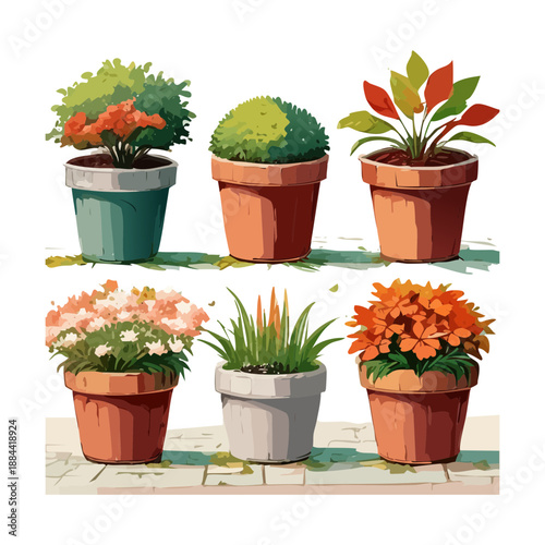 Round green bushes and orange shrubs in terracotta pots for formal garden entrance and elegant landscaping