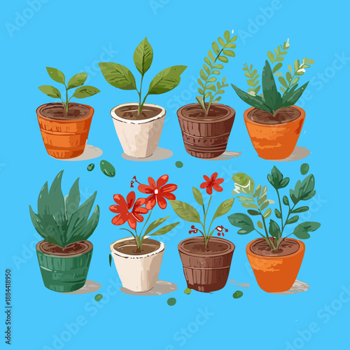 Tall green leafy plants and red floral blossoms in blue pots for modern balcony and urban garden