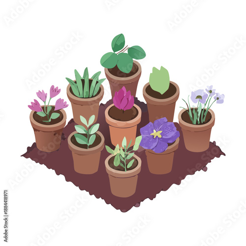 Potted succulents and blooming flowers in an isometric arrangement for creative garden planning and modern plant shop