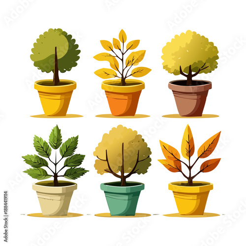 Minimalist green shrubs and round trees in yellow pots for contemporary landscape architecture and modern garden planning