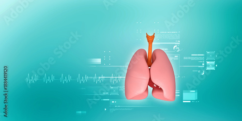 Tableau sur toile 3d illustration Healthy Human Lungs