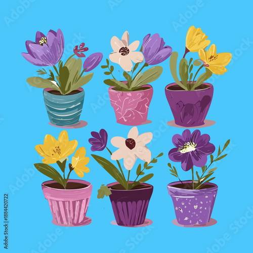 Purple and yellow garden flowers in matching pots for elegant balcony decoration and symmetrical floral design aesthetics