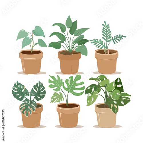 Tropical monstera and palm leaves in clay pots for urban jungle interior style and green home sanctuary