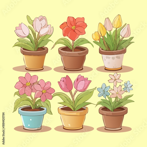 Tropical green plants and pink blooms in colorful pots for exotic garden themes and summer vacation house decor
