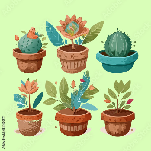 Assorted cactus and succulent species in decorative earthenware pots for desert style home interior and modern office decor