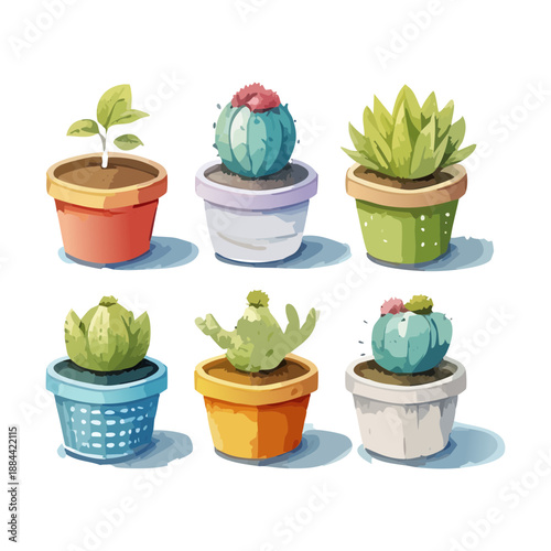 Set of desert cacti and garden succulents in blue pots for modern minimalist home interior styling