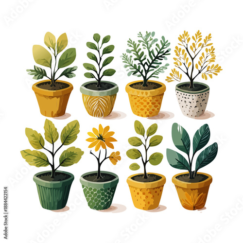 Set of green shrubs and miniature trees in yellow pots for modern garden landscaping and terrace