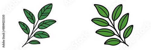 Green leaf vector illustration suitable for various designs