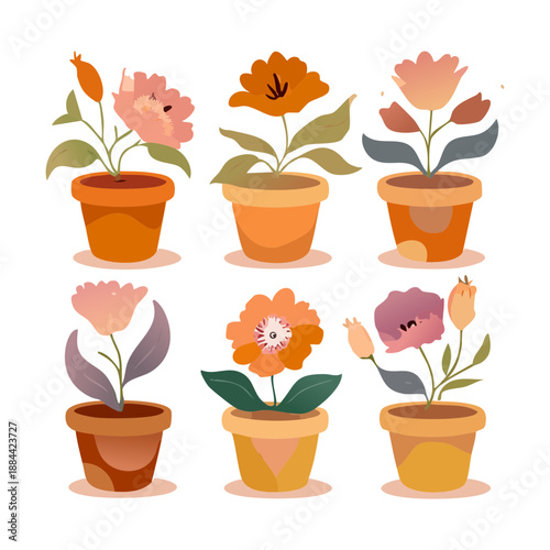Set of orange and yellow flowers in simple terracotta pots for sunny garden terrace and balcony styling