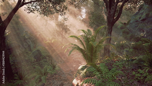 Canvas-taulu sunlit misty rainforest path with ferns, soft beams piercing dense canopy, damp