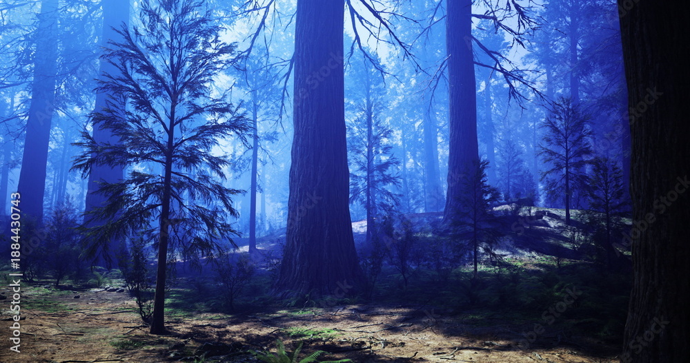 Naklejka premium Blue dawn in towering forest, sunlight shafts piercing high canopy, soft mist weaving between massive trunks, mosscovered floor with scattered ferns, cool
