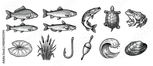 Set of vintage fishing and freshwater life illustrations including carp, trout, pike, a turtle, frog, and tackle in a black and white hand-drawn engraving style