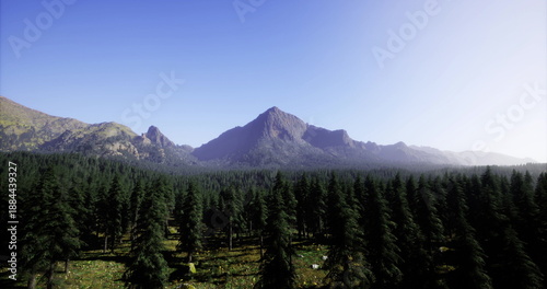 Fényképezés misty valley framed by distant peaks at sunrise