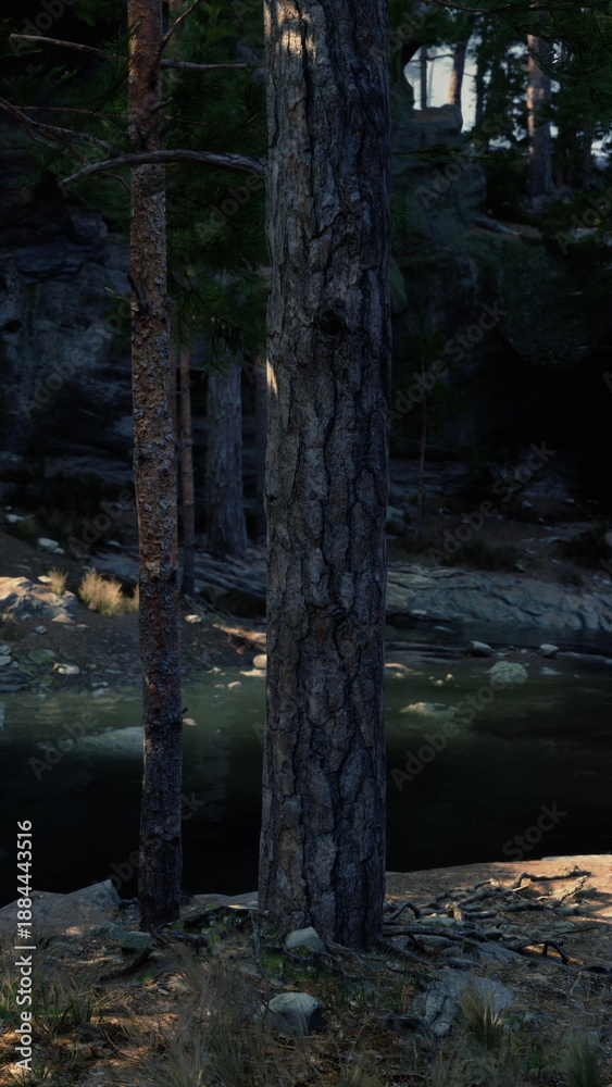 Fototapeta premium Pine tree trunks beside dark pond, rugged bark and moss framing calm reflective water at dusk, scattered pebbles and boulders along shadowed shore, quiet